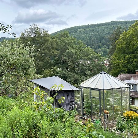Wohn-Eitel Romantik Bad Wildbad Exterior foto