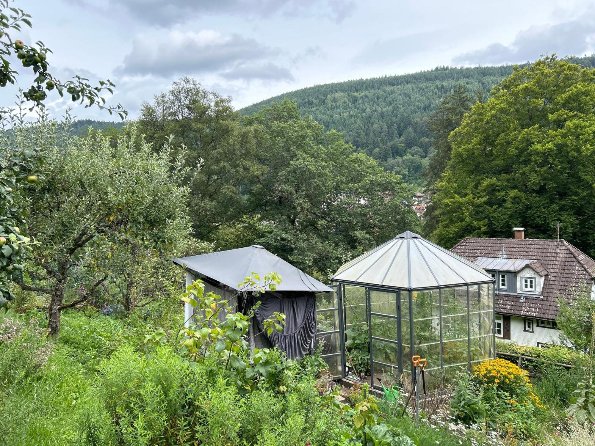 Wohn-Eitel Romantik Bad Wildbad Exterior foto
